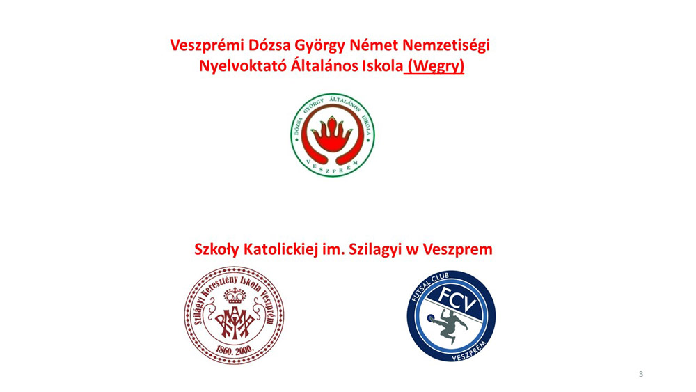 2 zdjecie wspolpraca Veszprem
