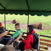 Wycieczka klas V do Kurozwęk 