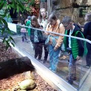 „Młodzi razem” na Węgrzech