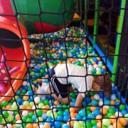 Półkolonia SP20 – Dzień pierwszy