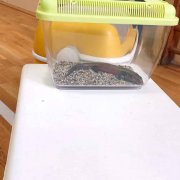 Żywa lekcja biologii