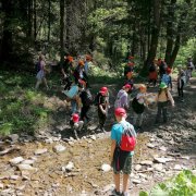 Zielona Szkoła - Sidzina 2022