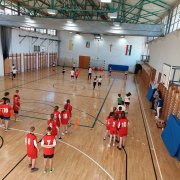 Polak Węgier dwa bratanki