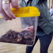 Żywa lekcja biologii