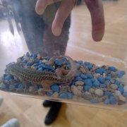 Żywa lekcja biologii