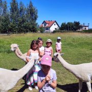 Półkolonia przy SP20 - dzień pierwszy i drugi 