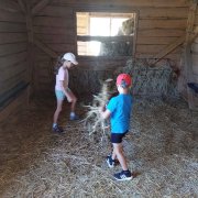 Półkolonia przy SP20 - dzień pierwszy i drugi 