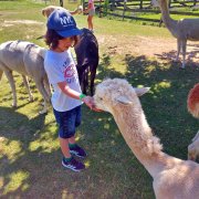 Półkolonia przy SP20 - dzień pierwszy i drugi 