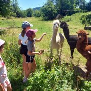 Półkolonia przy SP20 - dzień pierwszy i drugi 