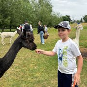 Półkolonia przy SP20 - dzień piąty 