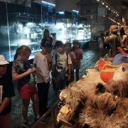 Zielona szkoła 1a i 2b