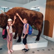 Półkolonia przy SP20 – dzień trzeci